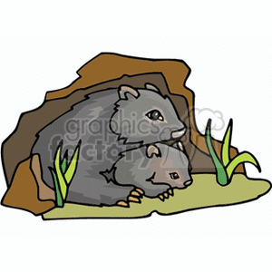 Detail Wombat Rat Nomer 15