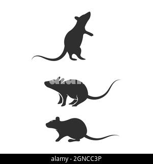 Detail Wombat Rat Nomer 21