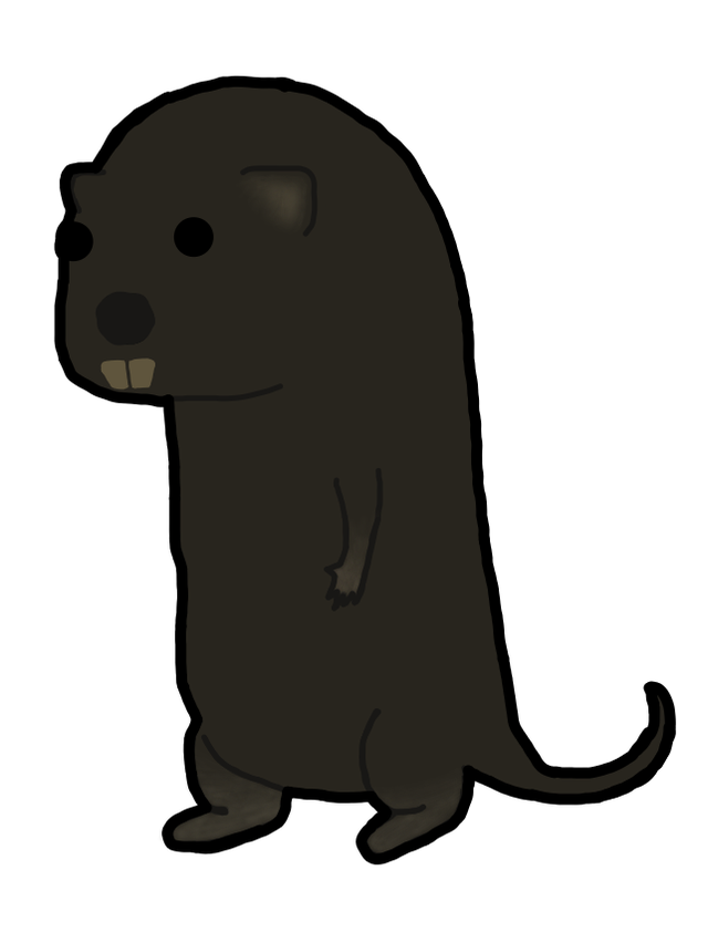 Detail Wombat Rat Nomer 5