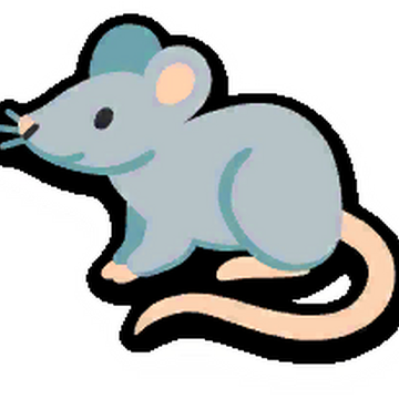 Detail Wombat Rat Nomer 6