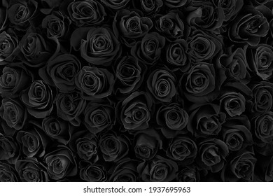 Detail Background Black Flower Nomer 3