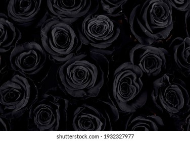 Detail Background Black Flower Nomer 28