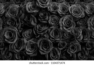 Detail Background Black Flower Nomer 31