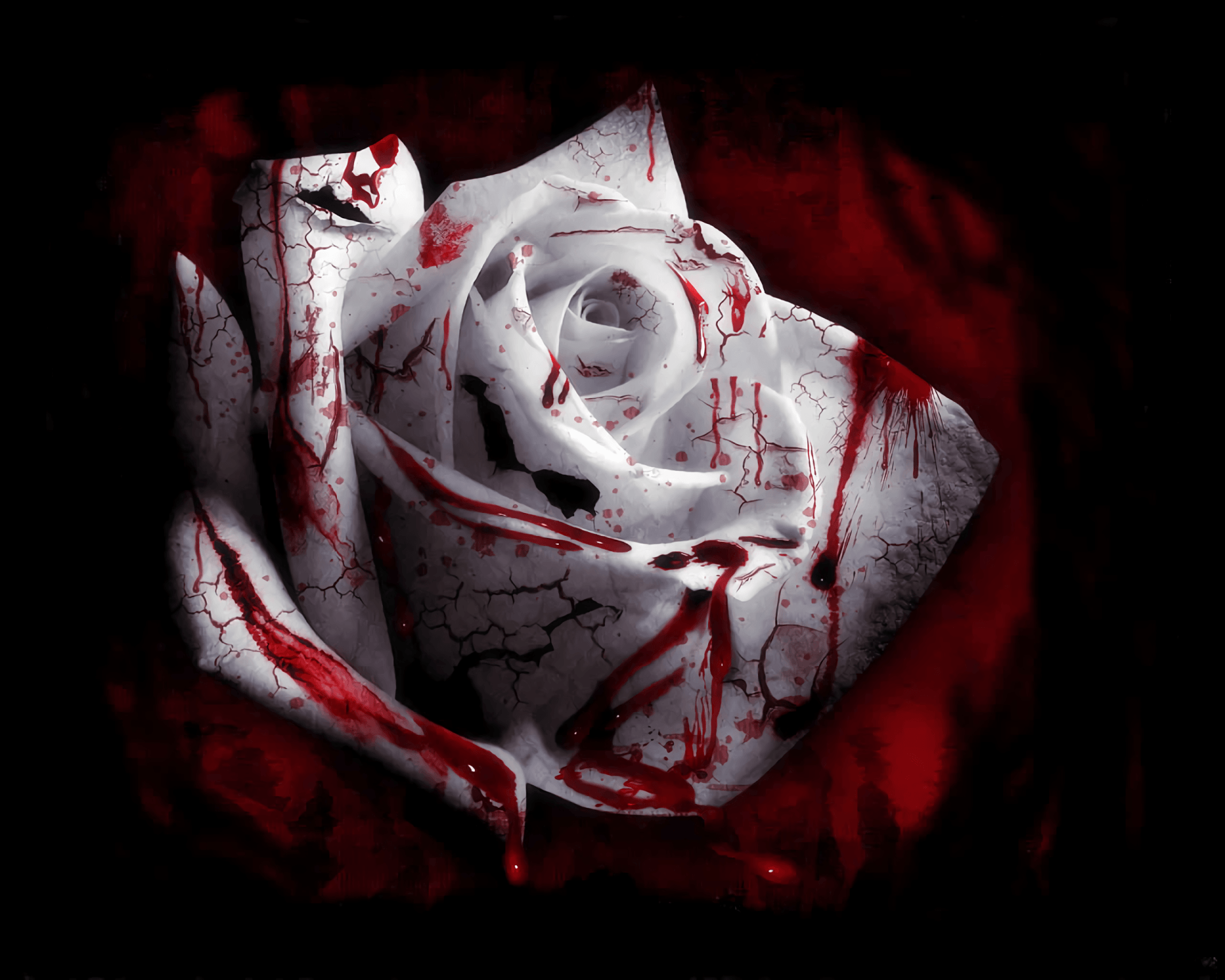 Detail Background Blood Nomer 48