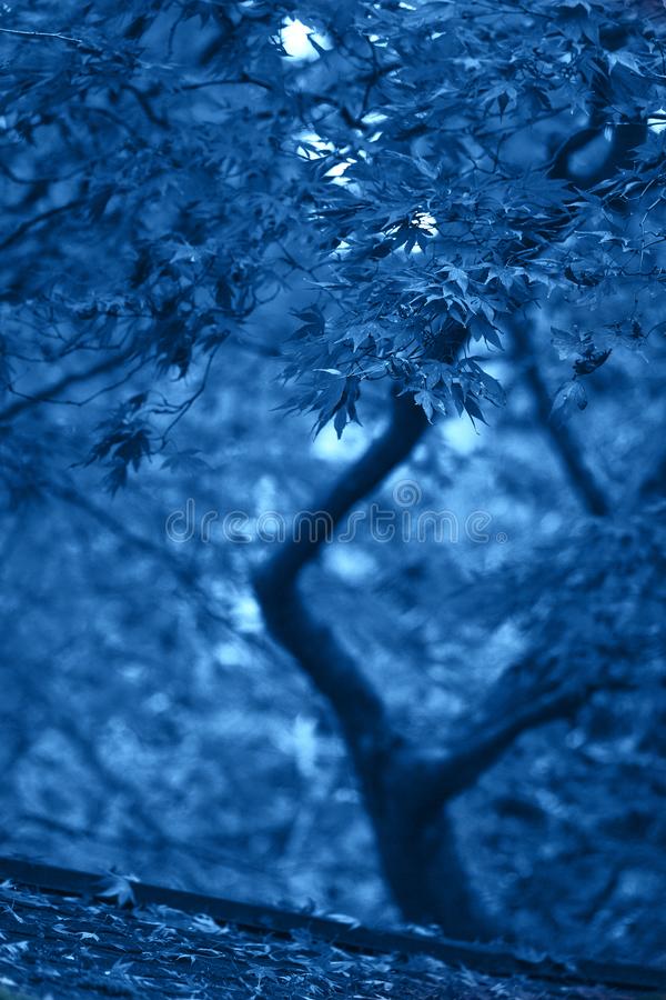 Detail Background Blue Nature Nomer 7