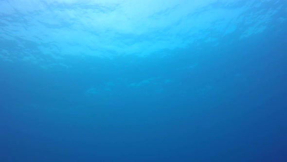 Detail Background Blue Water Nomer 24