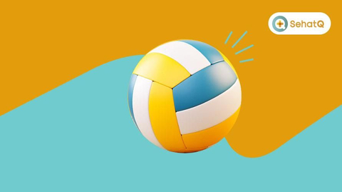 Detail Background Bola Volly Nomer 12