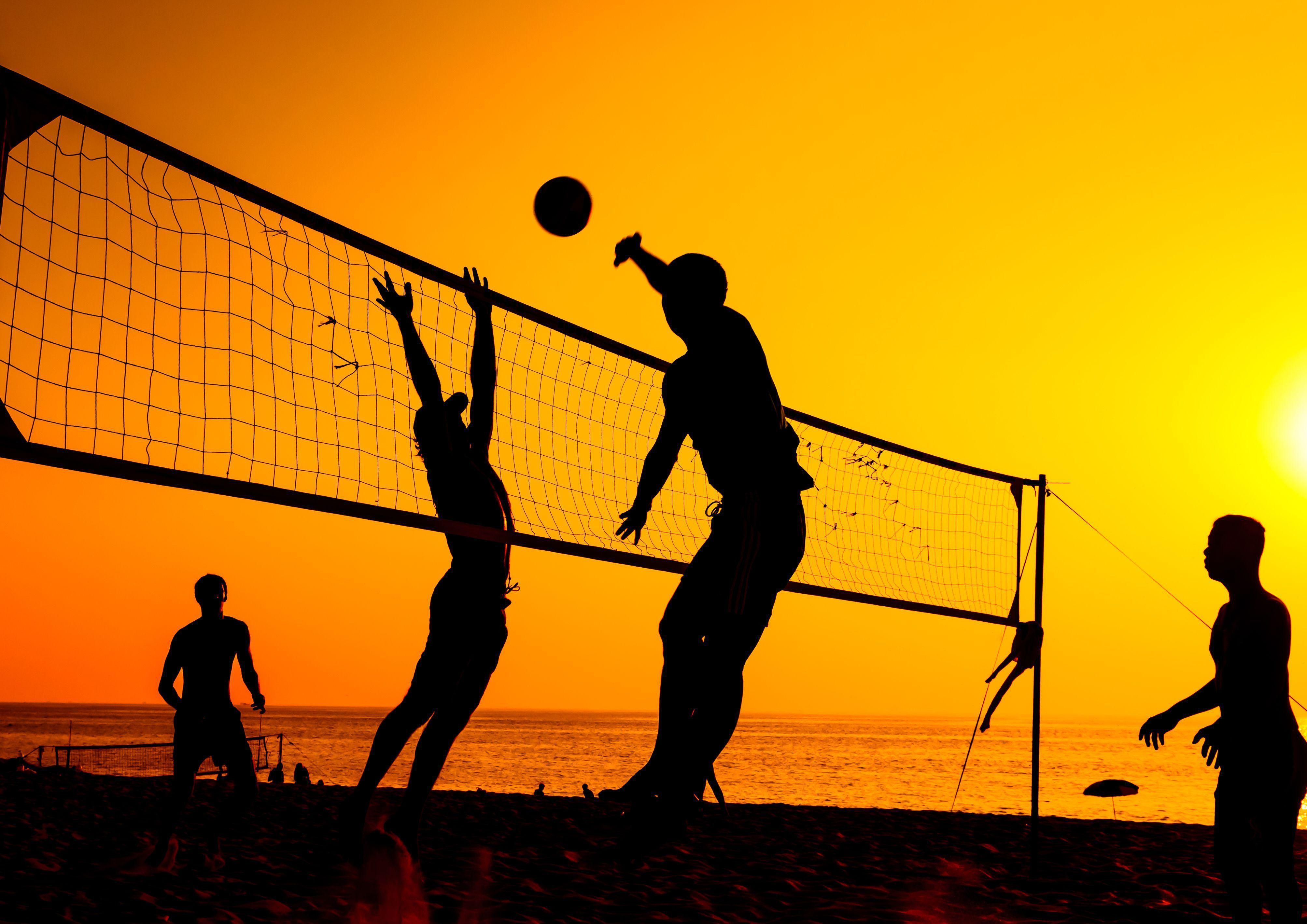 Detail Background Bola Volly Nomer 14
