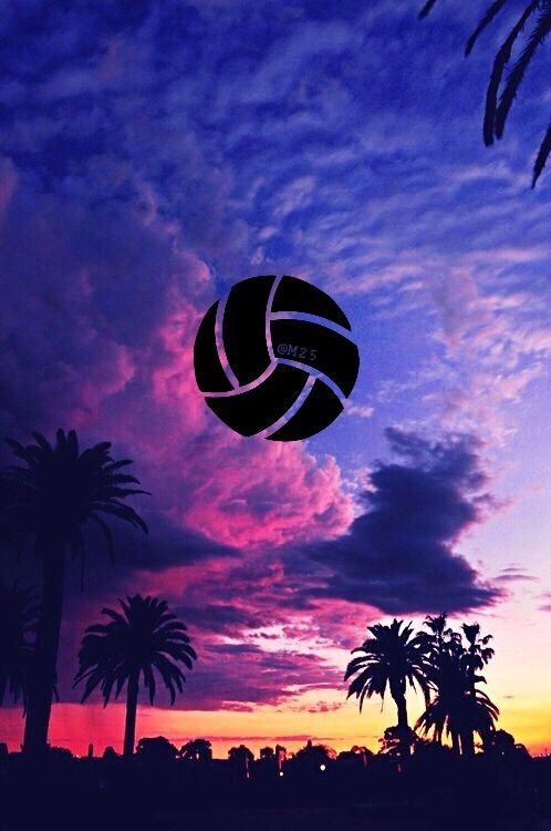 Detail Background Bola Volly Nomer 17