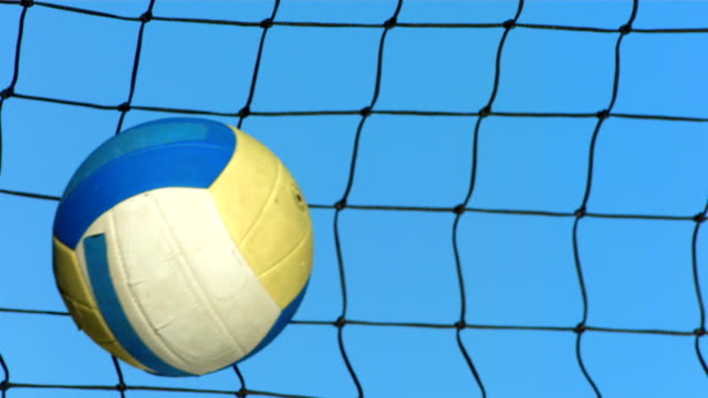 Detail Background Bola Volly Nomer 40