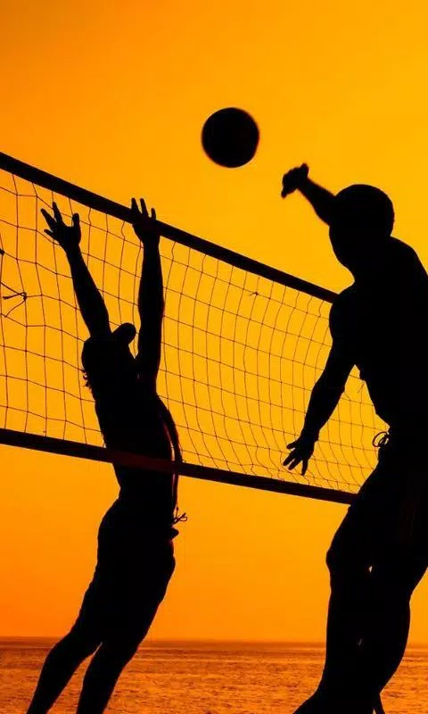 Detail Background Bola Volly Nomer 44