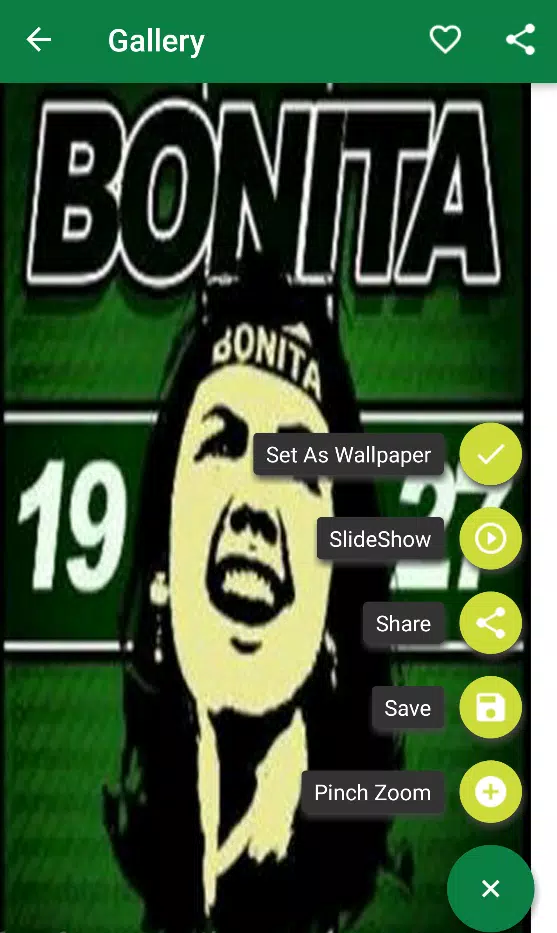 Download Background Bonek Nomer 45