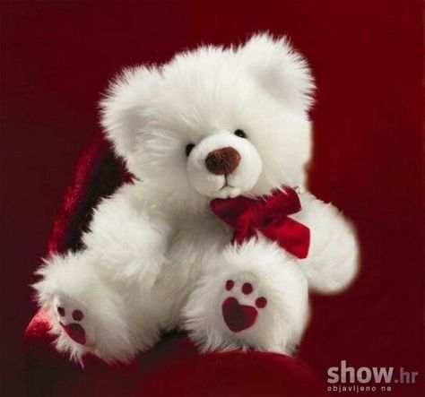 Detail Background Boneka Lucu Nomer 21