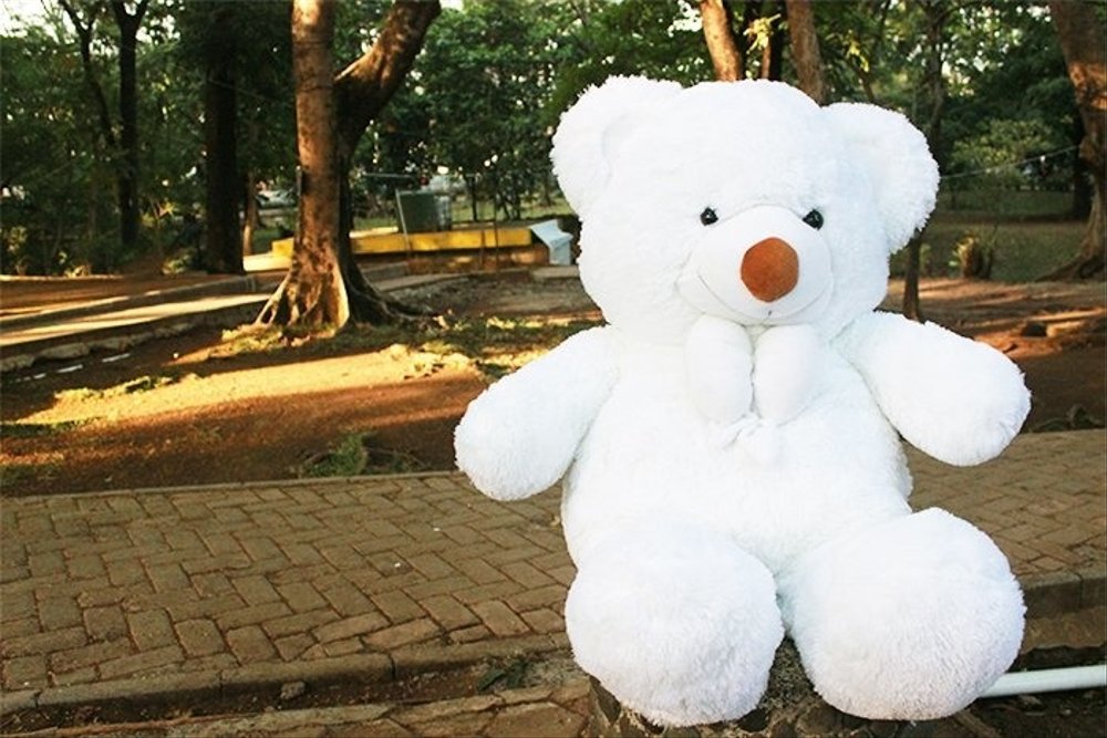 Detail Background Boneka Lucu Nomer 46