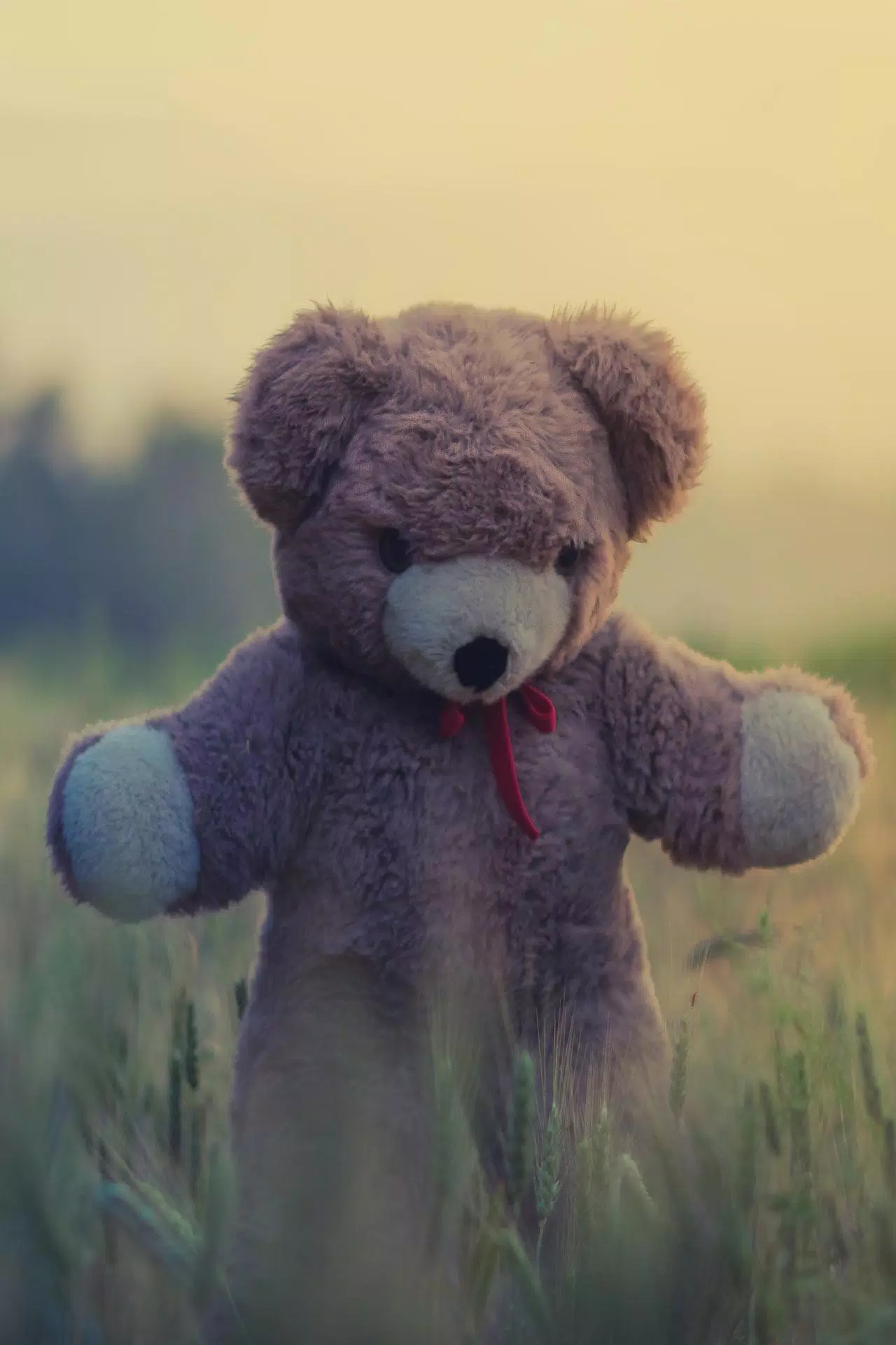 Detail Background Boneka Lucu Nomer 55