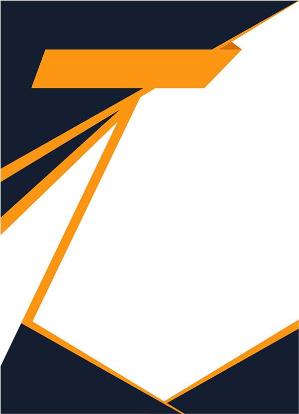 Background Brosure - KibrisPDR