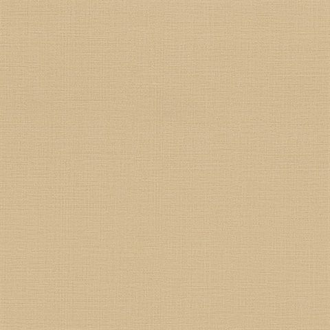 Detail Background Brown Soft Nomer 15