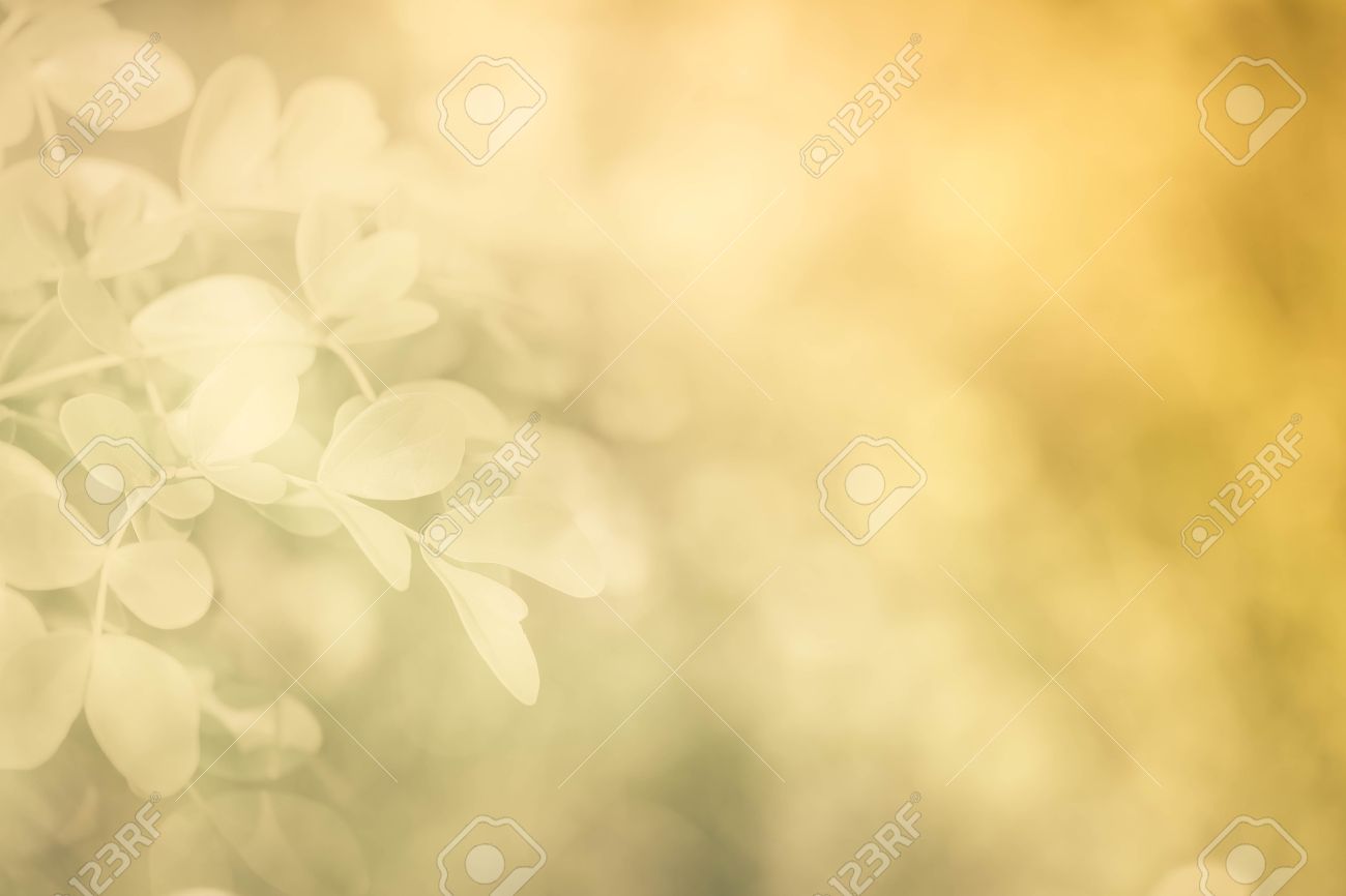 Detail Background Brown Soft Nomer 20