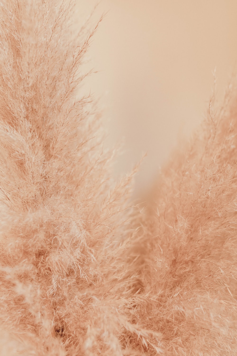 Detail Background Brown Soft Nomer 23