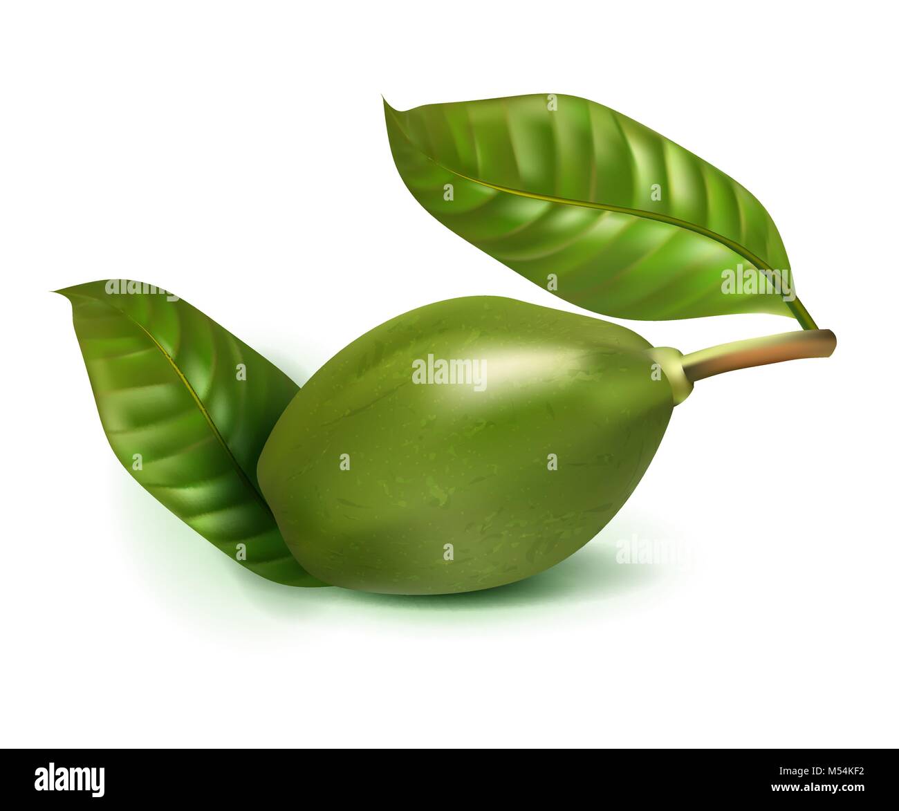 Detail Background Buah Vector Nomer 52