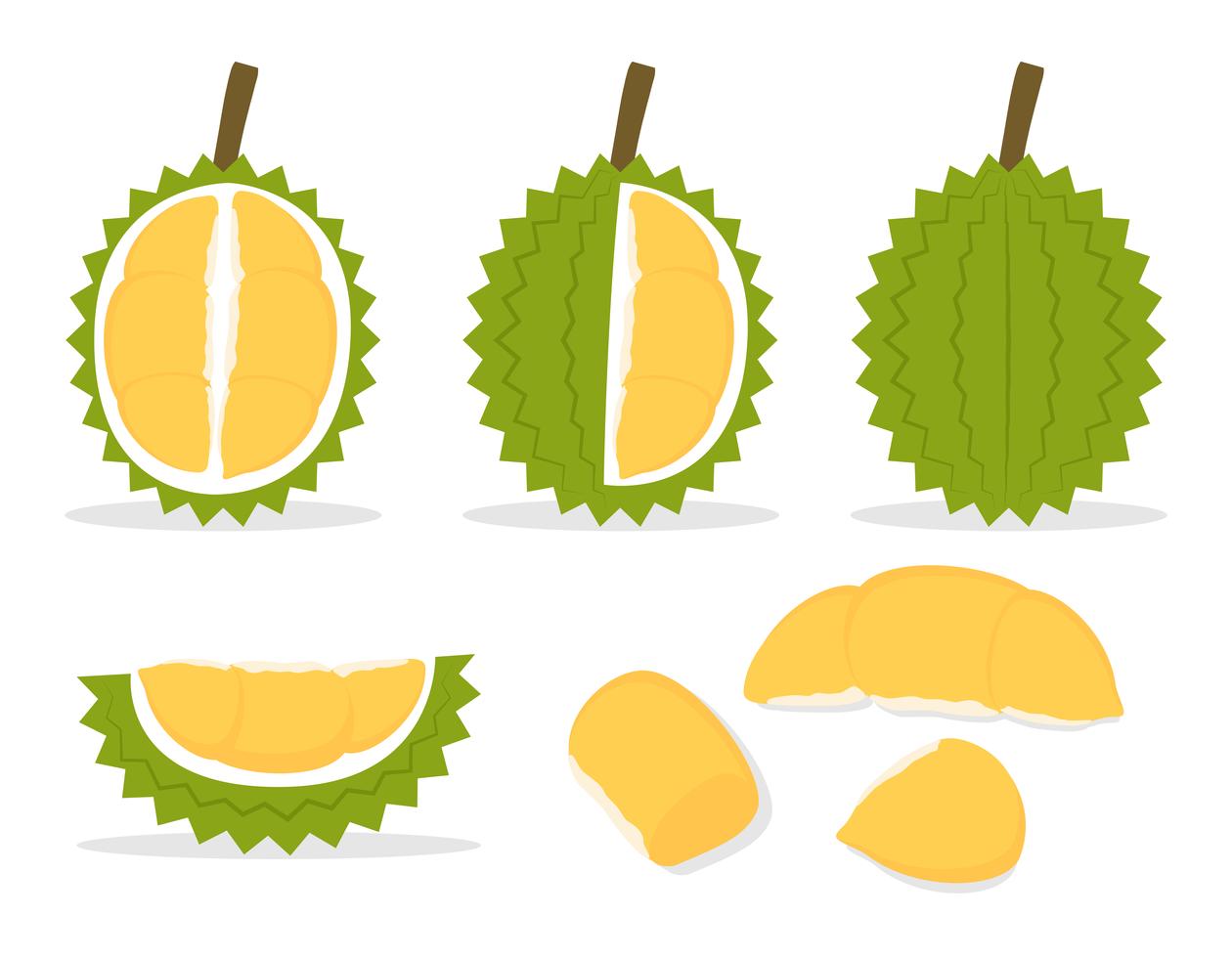Detail Background Buah Vector Nomer 54