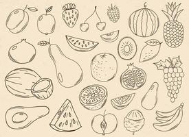 Detail Background Buah Vector Nomer 56