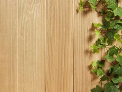 Detail Background Buat Makanan Nomer 37
