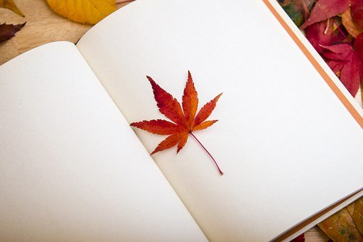 Detail Background Buku Diary Nomer 38
