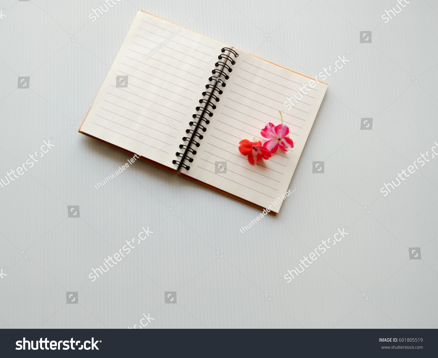 Detail Background Buku Diary Nomer 10