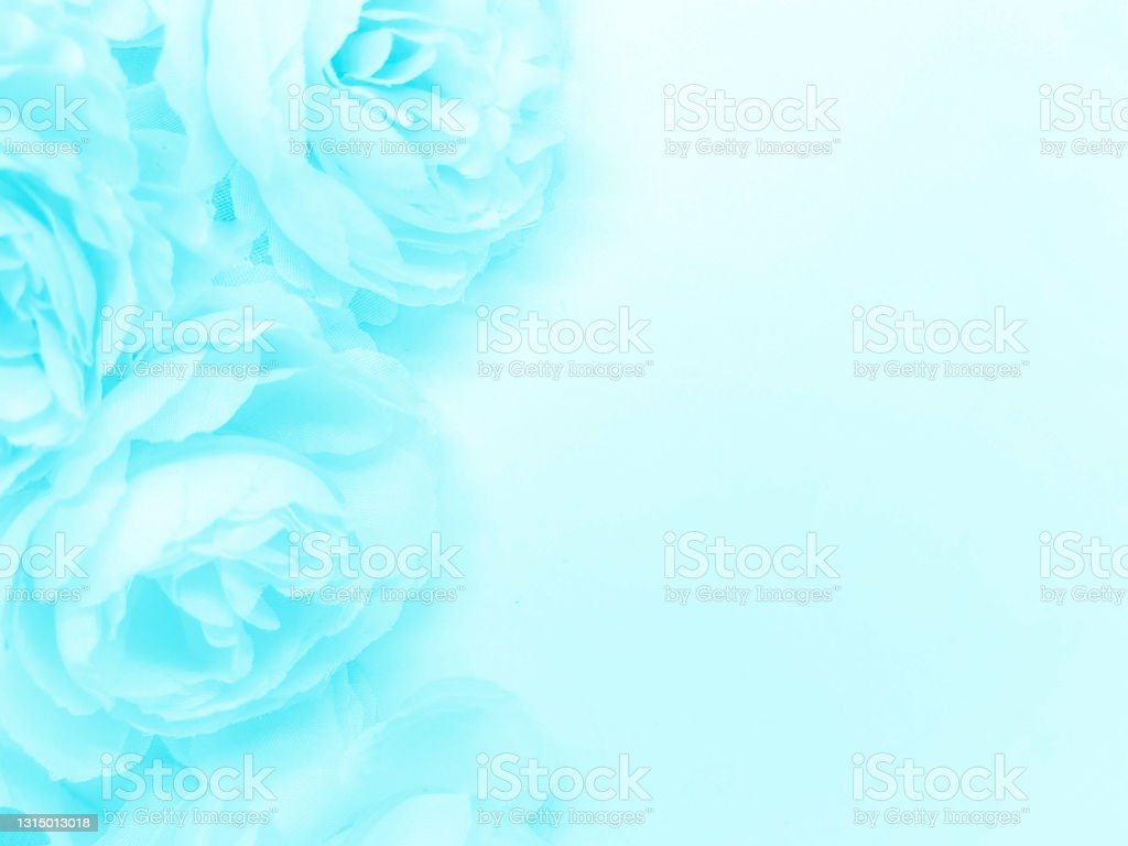 Detail Background Bunga Biru Nomer 35