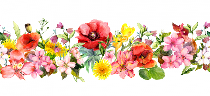 Detail Background Bunga Bunga Nomer 30
