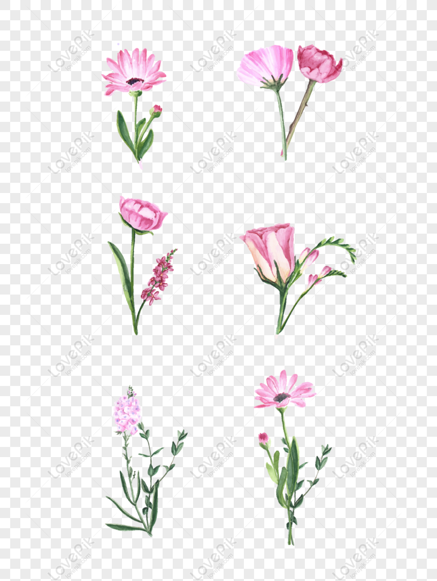 Detail Background Bunga Bunga Kecil Nomer 48