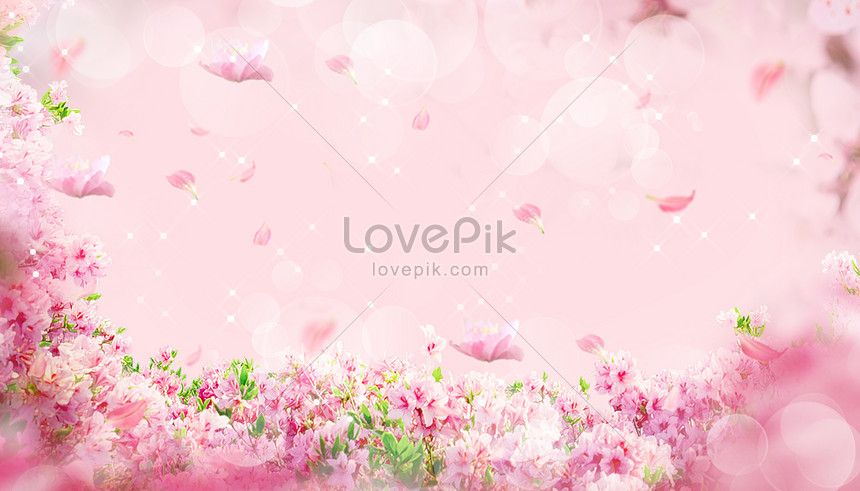 Detail Background Bunga Bunga Pink Nomer 29