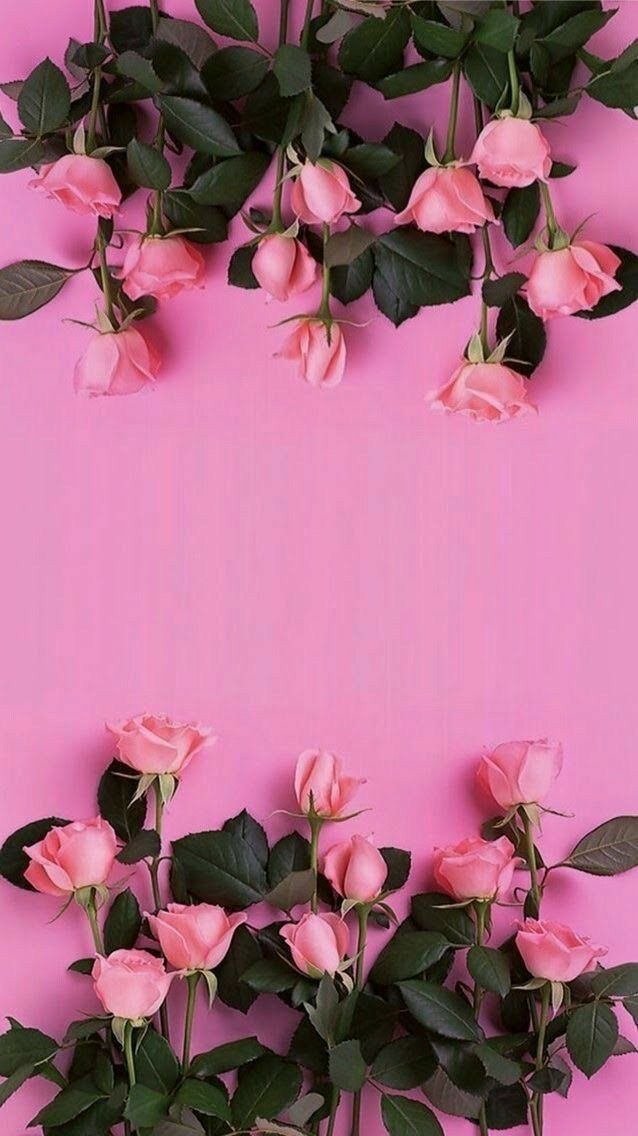 Detail Background Bunga Cantik Nomer 3