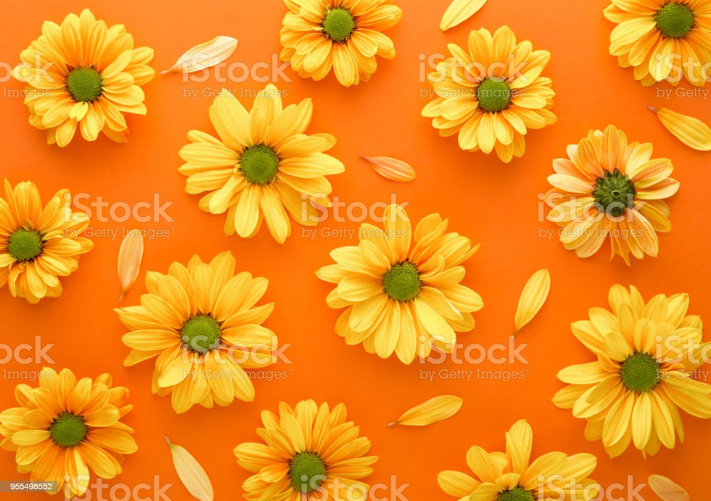 Detail Background Bunga Kuning Nomer 27
