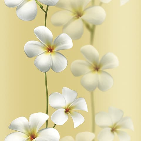 Detail Background Bunga Kuning Nomer 32