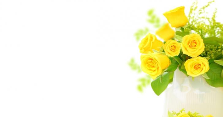 Detail Background Bunga Kuning Nomer 33