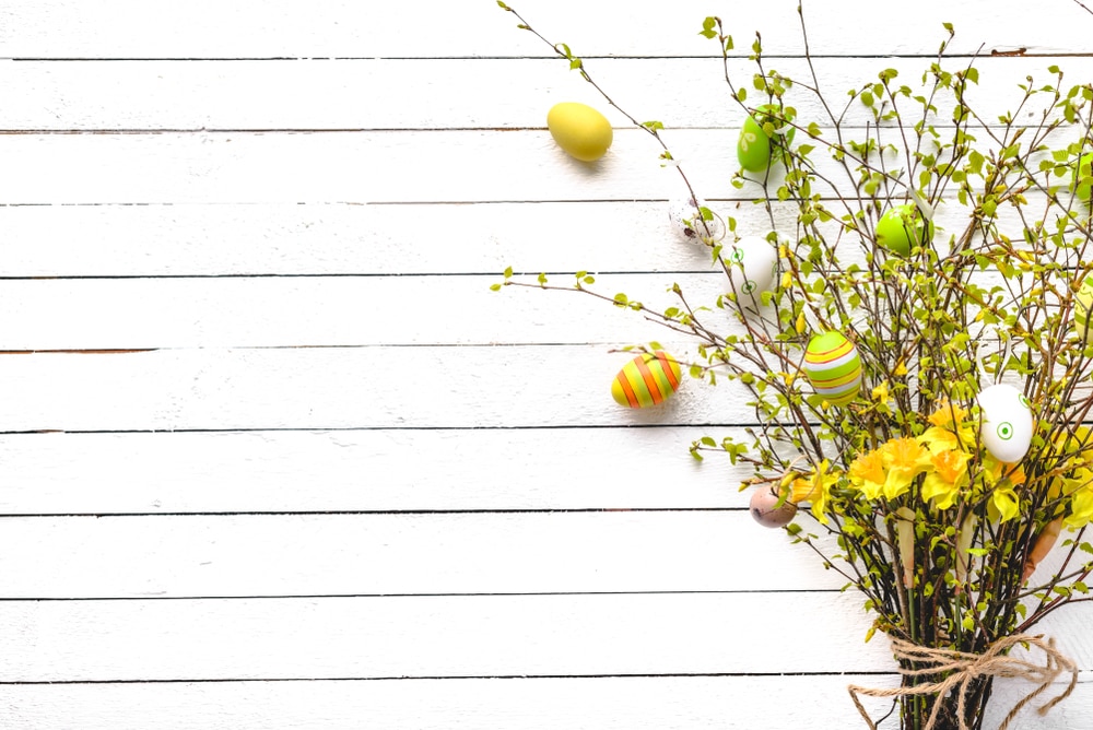Detail Background Bunga Kuning Nomer 37