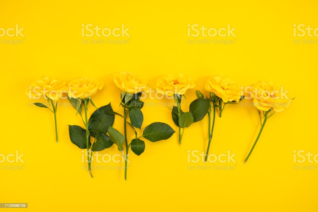 Detail Background Bunga Kuning Nomer 47