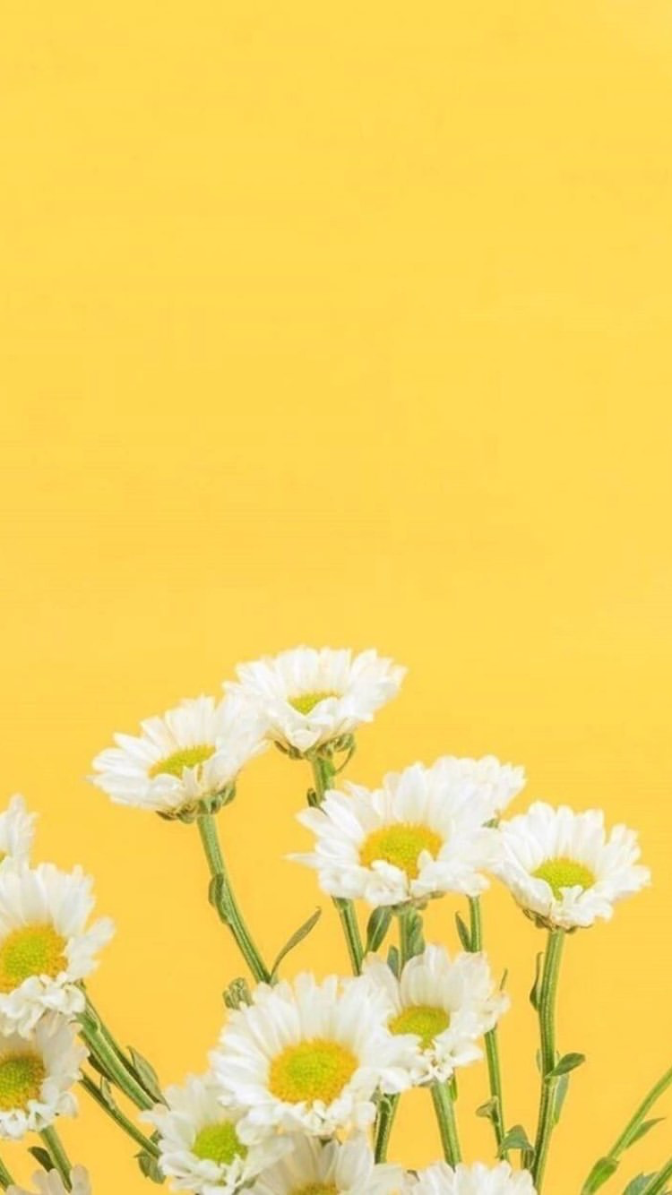 Detail Background Bunga Kuning Nomer 6