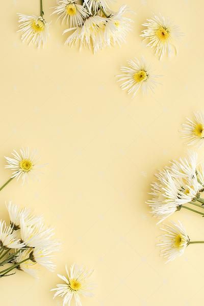 Detail Background Bunga Kuning Nomer 9