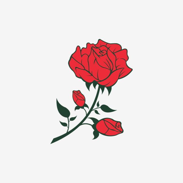 Detail Background Bunga Mawar Merah Nomer 27