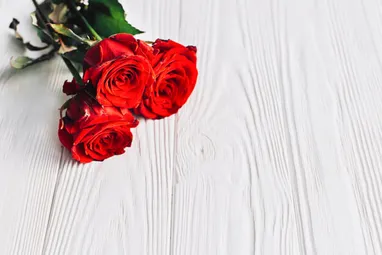 Detail Background Bunga Mawar Merah Nomer 35