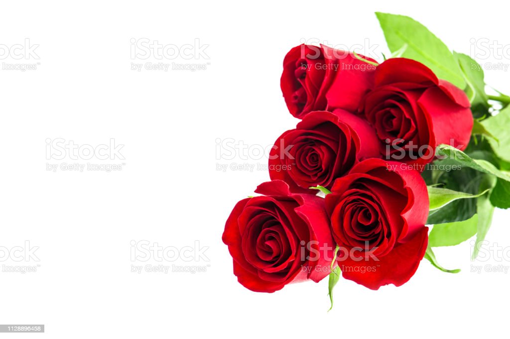 Detail Background Bunga Mawar Merah Nomer 42