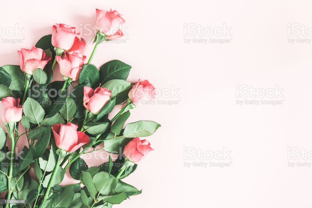 Detail Background Bunga Mawar Merah Nomer 56