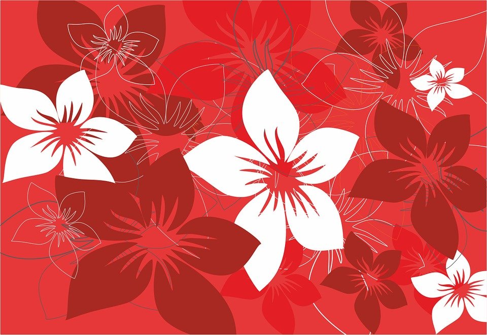 Detail Background Bunga Merah Nomer 17