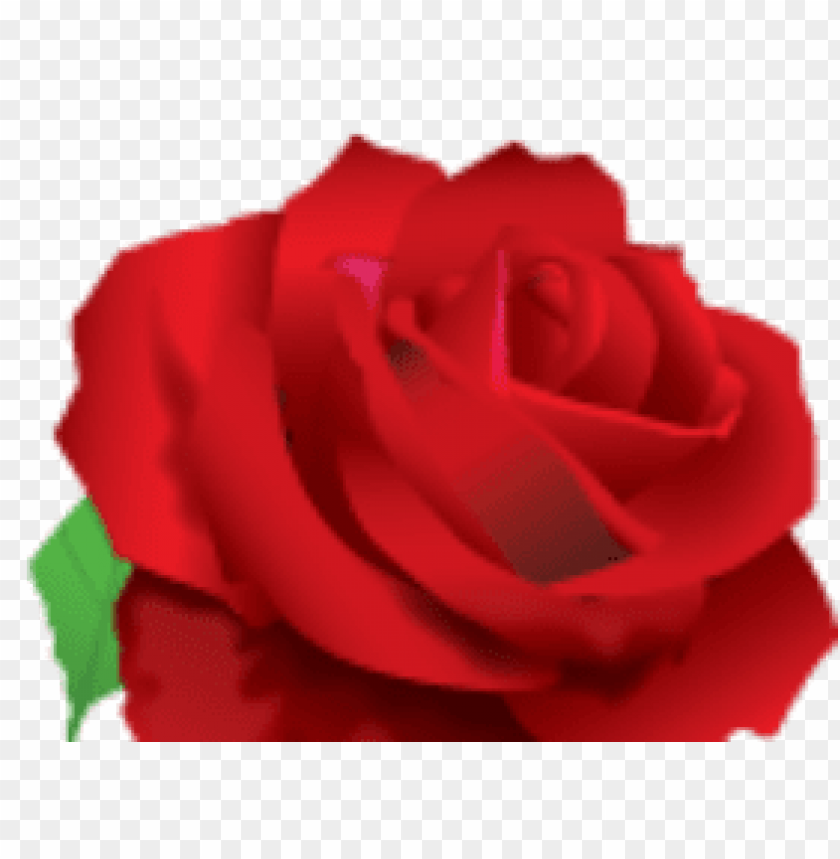 Detail Background Bunga Merah Nomer 34