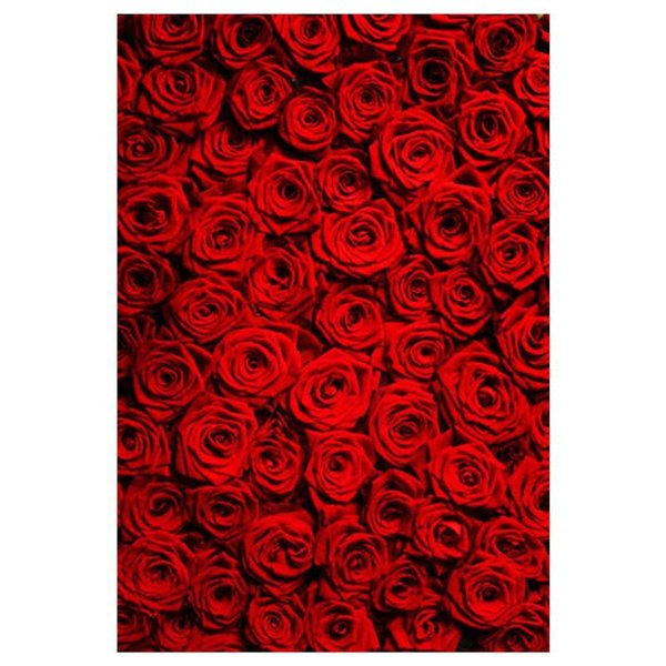 Detail Background Bunga Merah Nomer 5