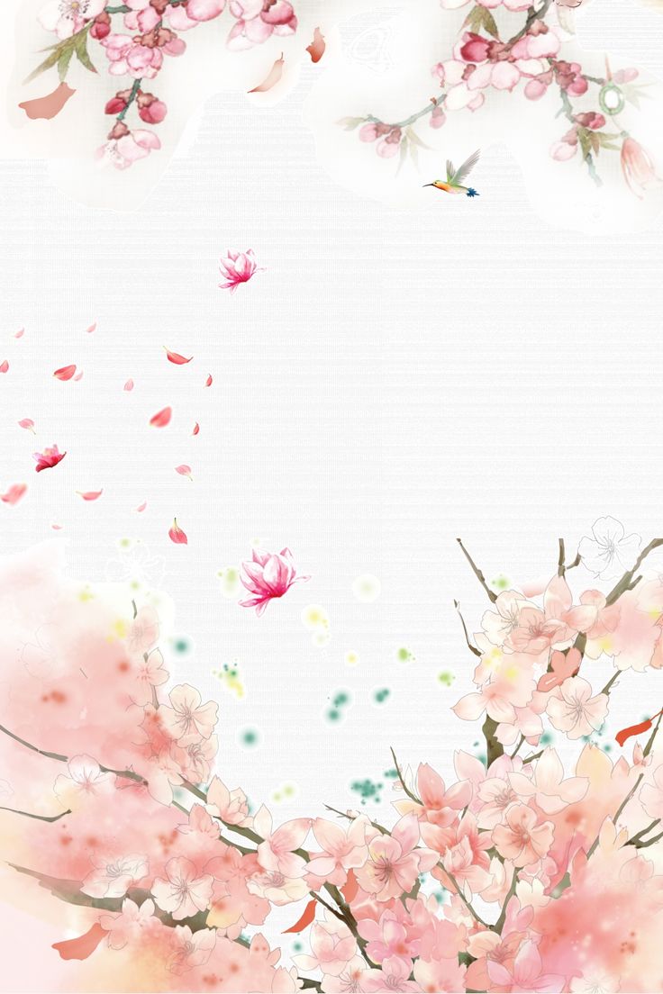 Background Bunga Peach - KibrisPDR