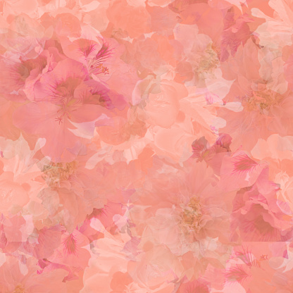 Detail Background Bunga Peach Nomer 2